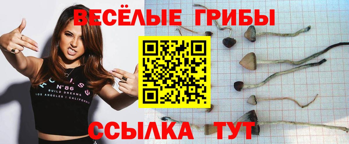 A-PVP Краснознаменск