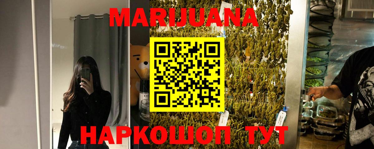 Бошки Шишки MAZAR Краснознаменск